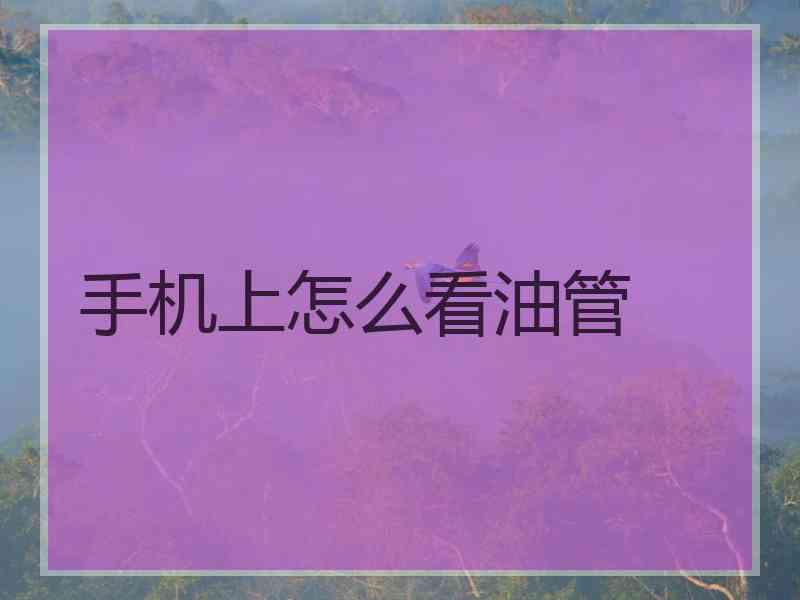 手机上怎么看油管
