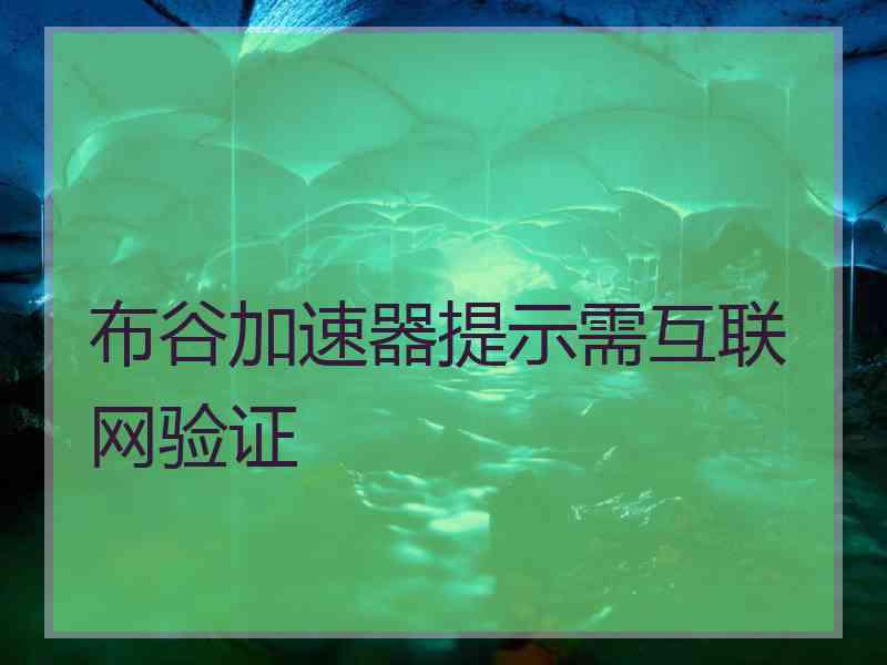 布谷加速器提示需互联网验证