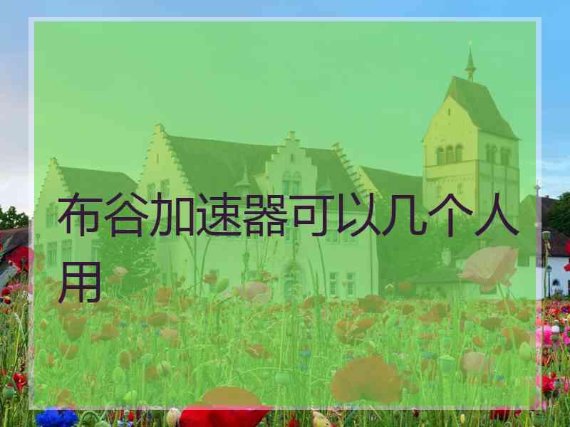 布谷加速器可以几个人用