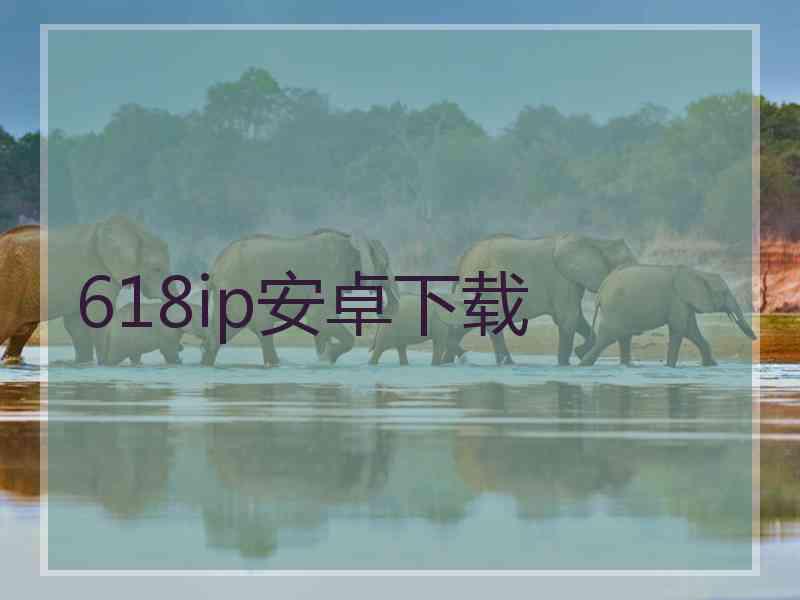 618ip安卓下载
