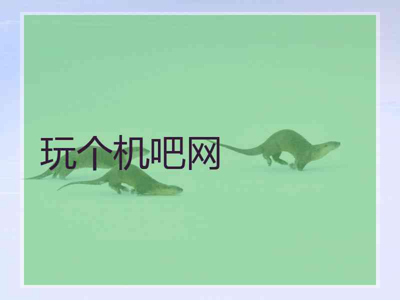 玩个机吧网