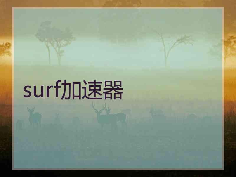 surf加速器