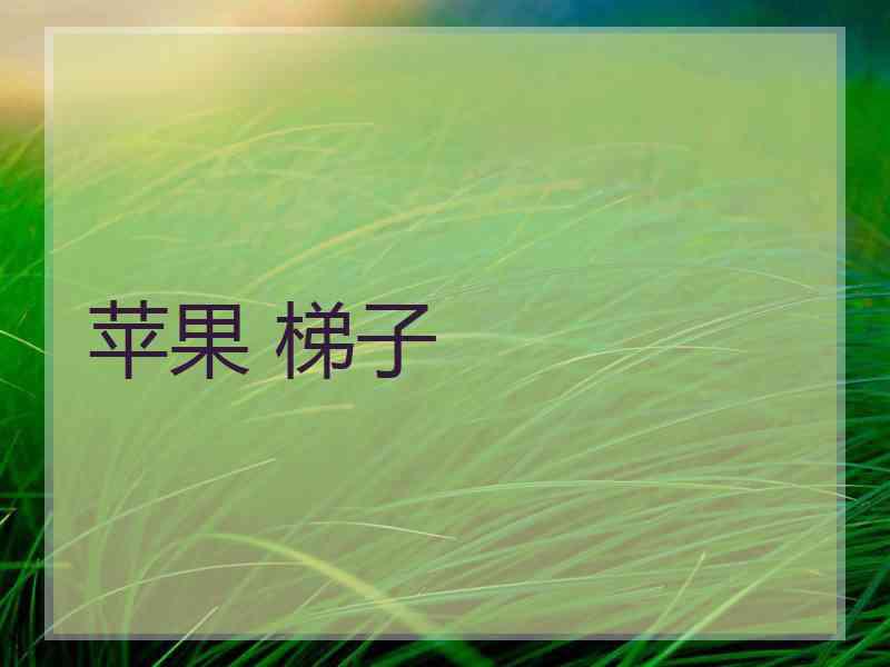 苹果 梯子