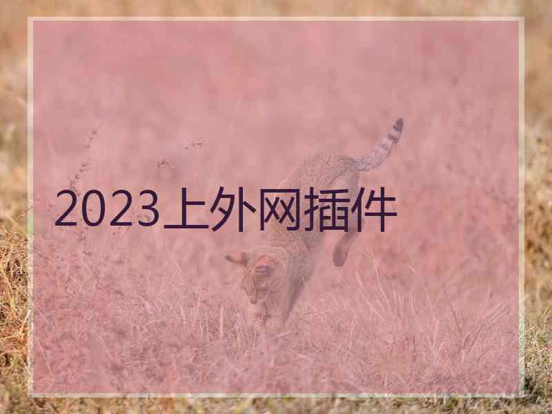2023上外网插件