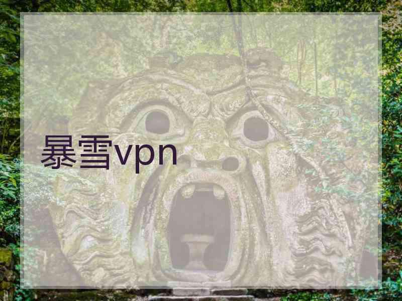 暴雪vpn