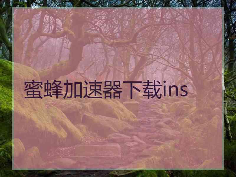蜜蜂加速器下载ins