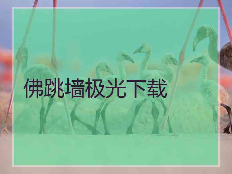 佛跳墙极光下载