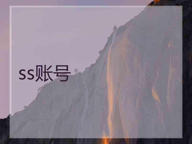 ss账号
