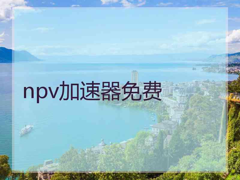 npv加速器免费