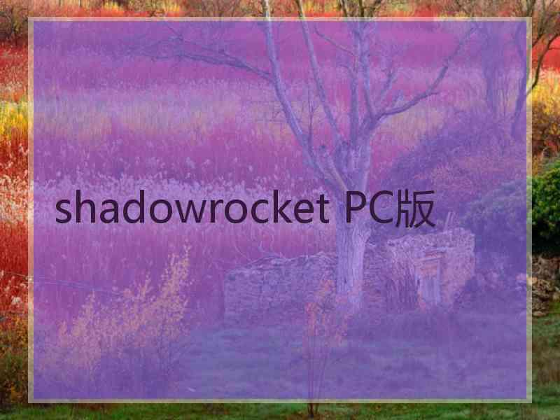 shadowrocket PC版