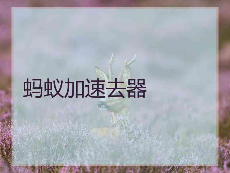 蚂蚁加速去器