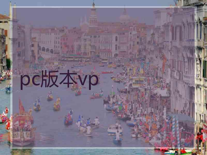 pc版本vp
