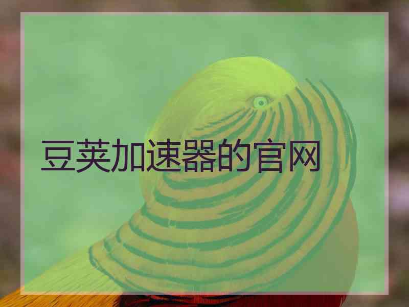 豆荚加速器的官网
