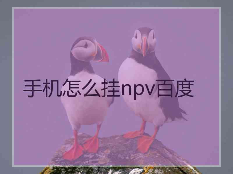 手机怎么挂npv百度