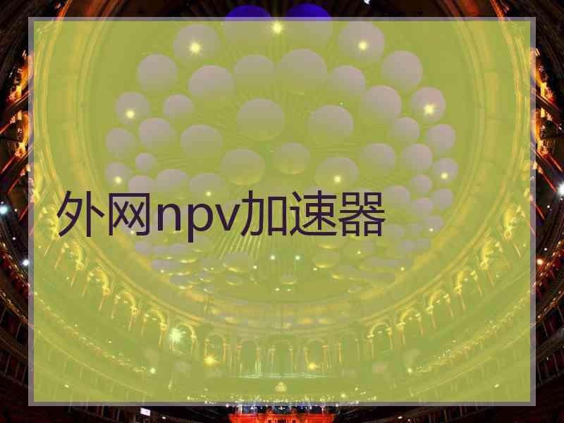 外网npv加速器