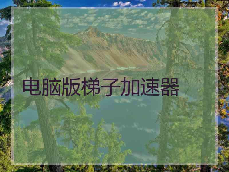 电脑版梯子加速器