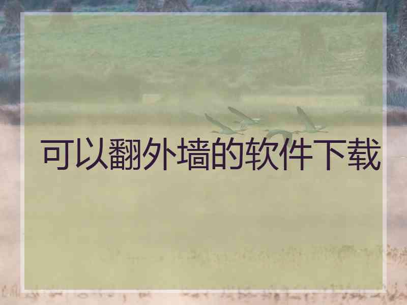可以翻外墙的软件下载