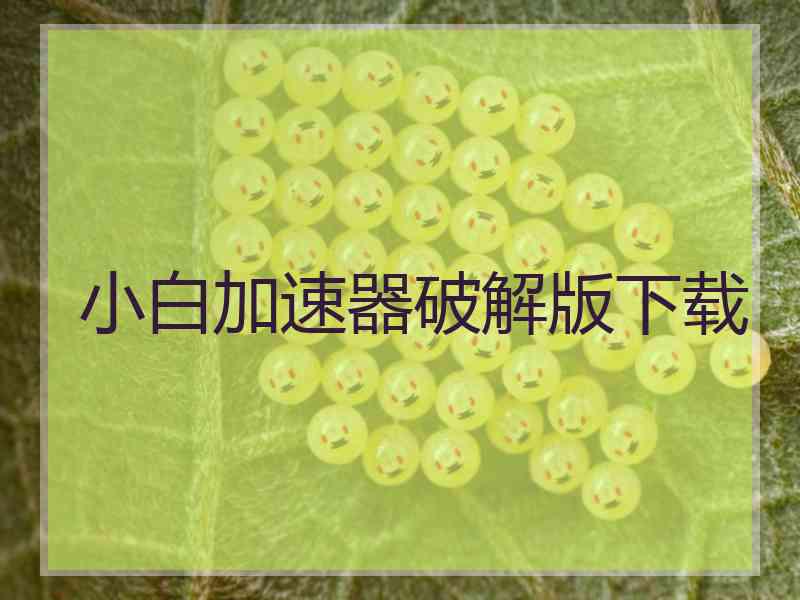 小白加速器破解版下载
