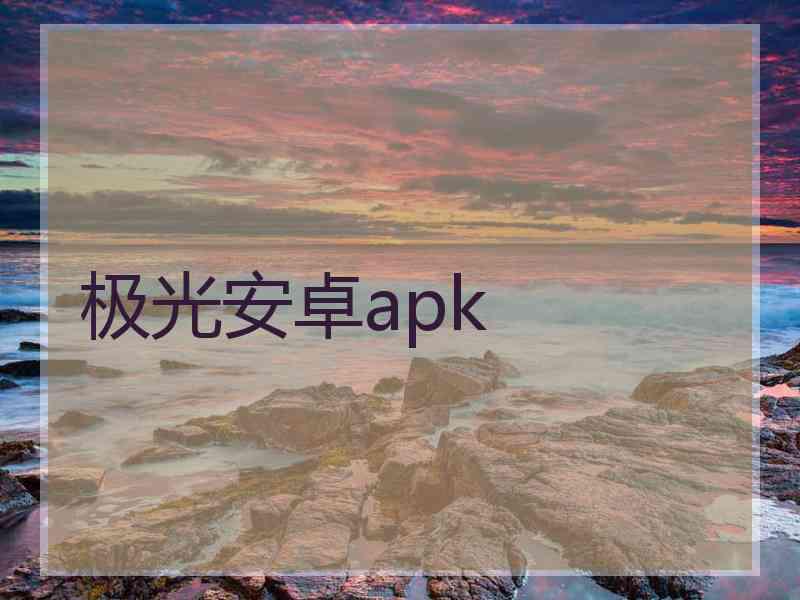 极光安卓apk