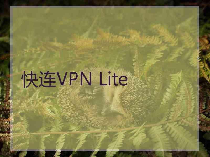 快连VPN Lite