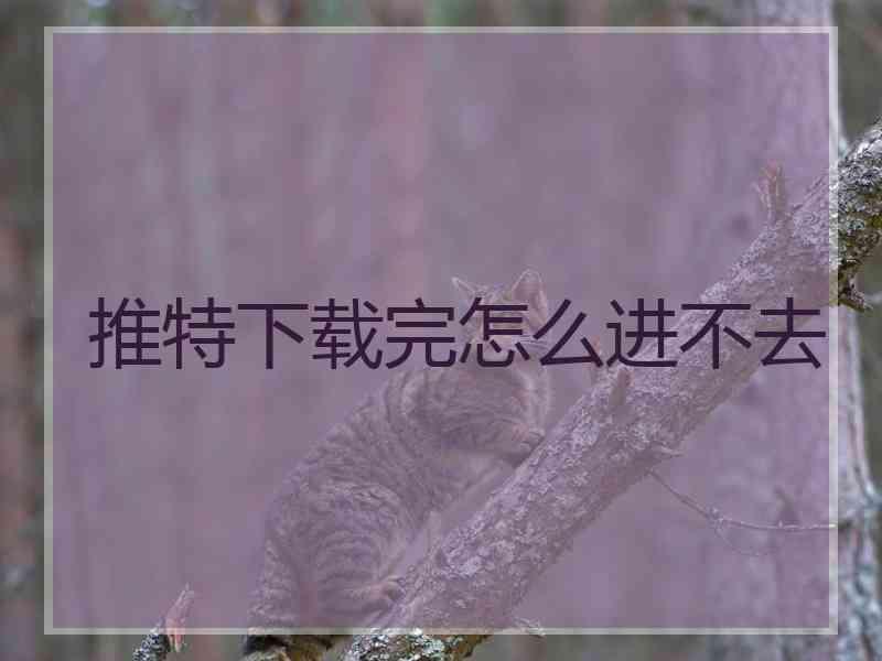 推特下载完怎么进不去