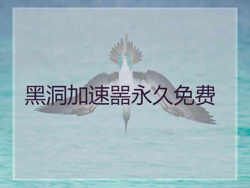 黑洞加速噐永久免费