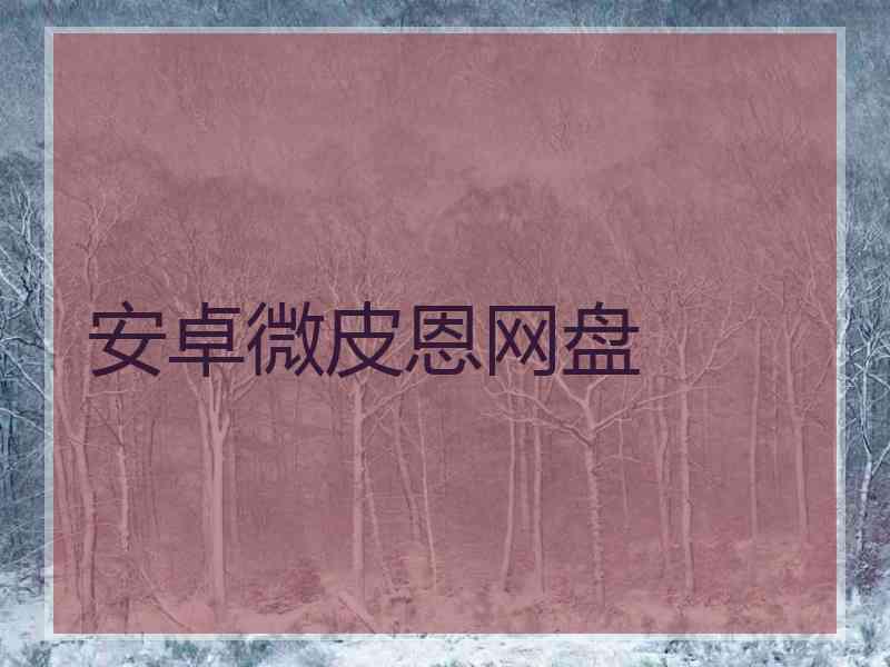 安卓微皮恩网盘