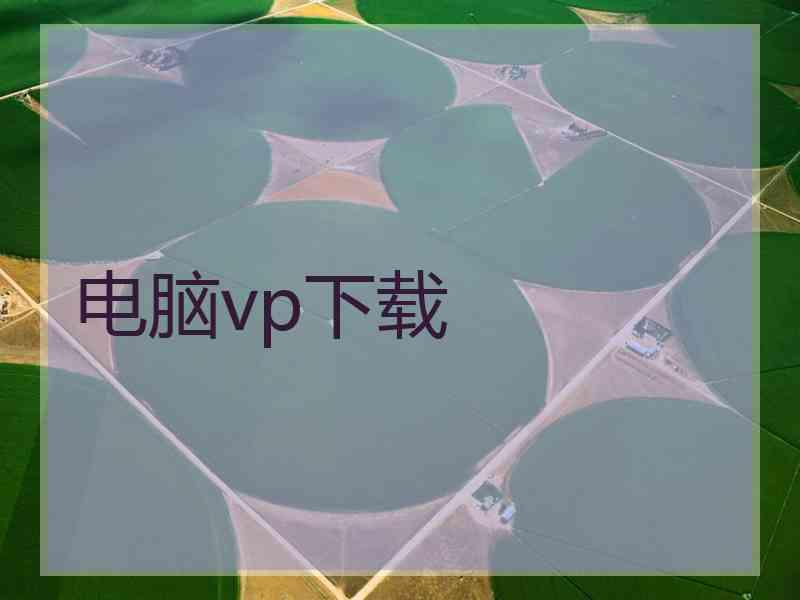 电脑vp下载