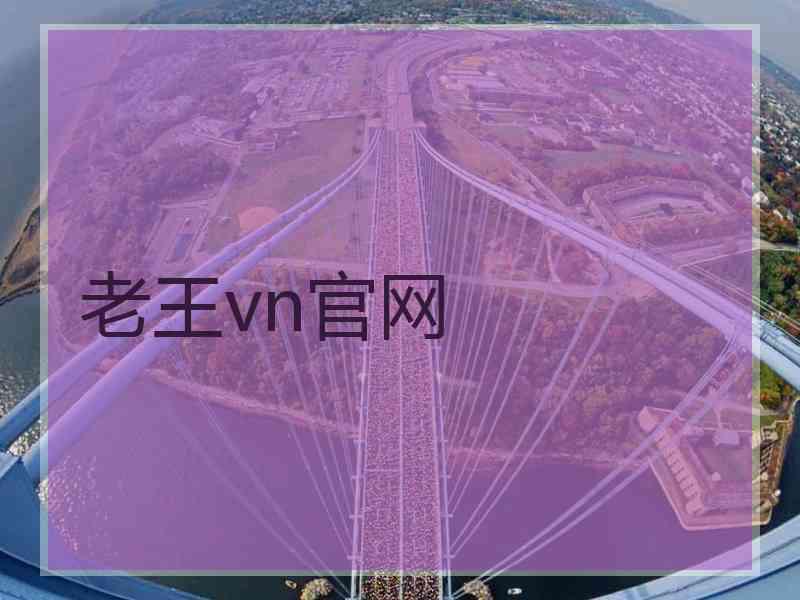 老王vn官网