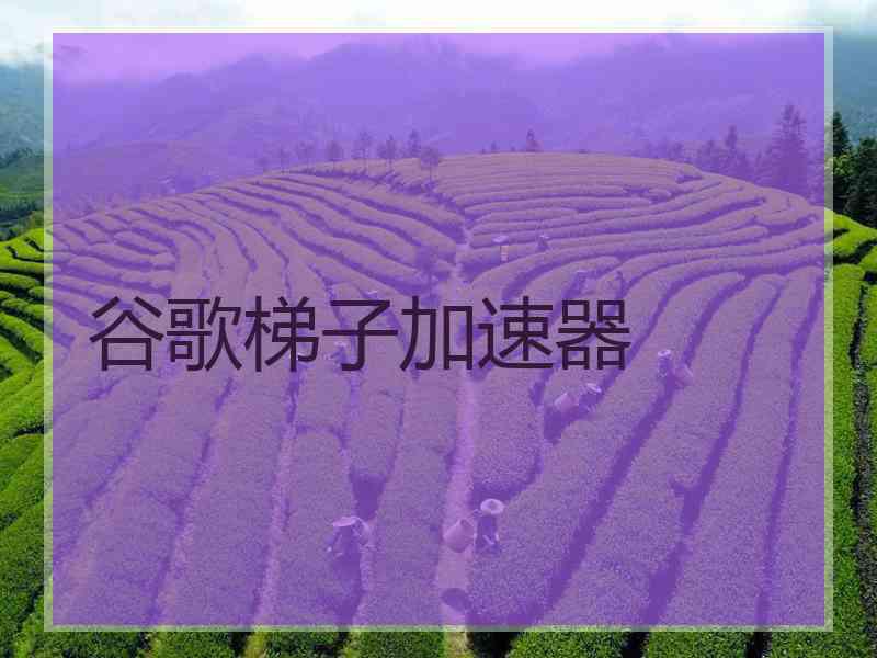 谷歌梯子加速器