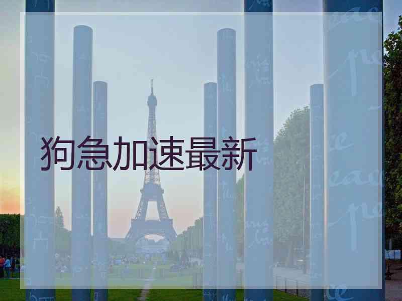 狗急加速最新