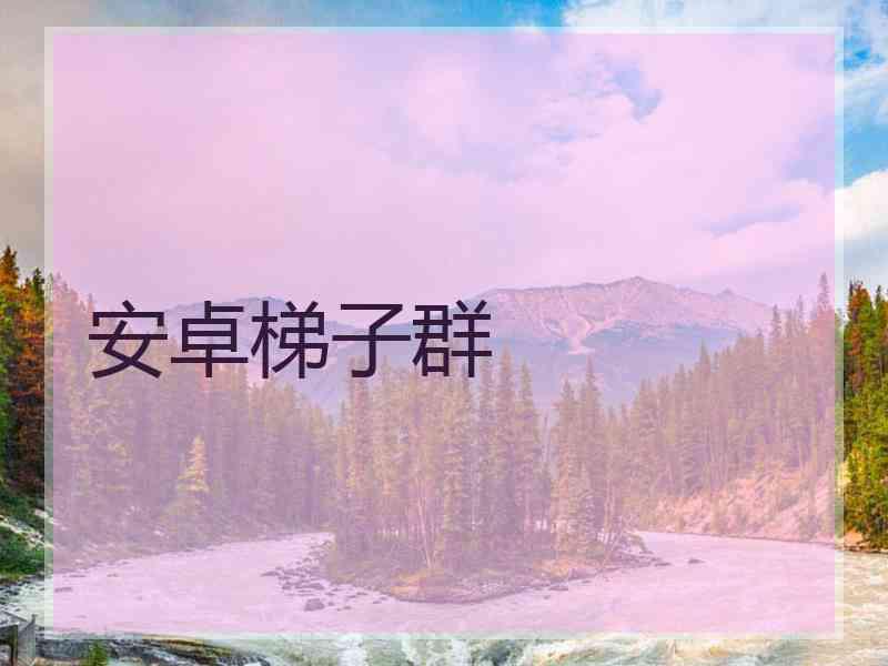 安卓梯子群
