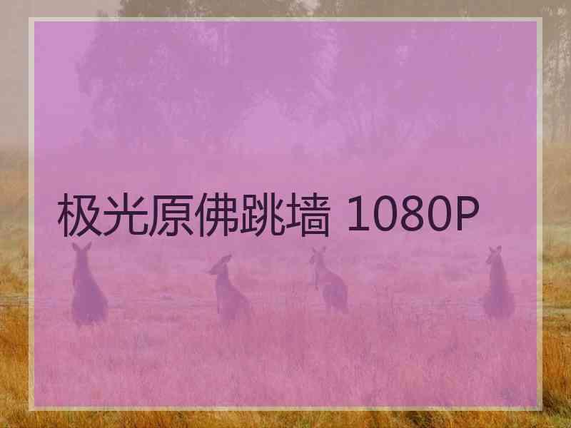 极光原佛跳墙 1080P