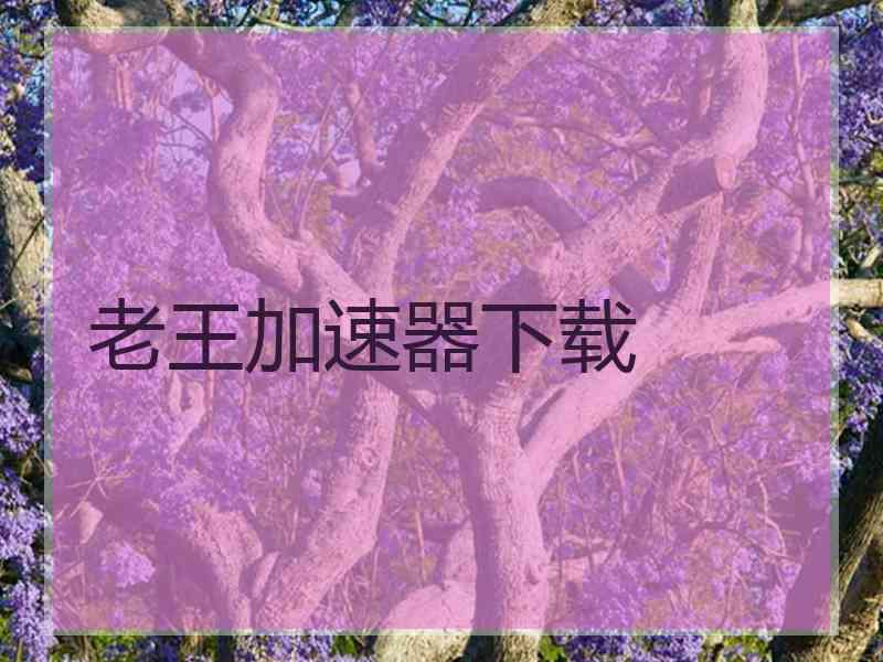 老王加速器下载