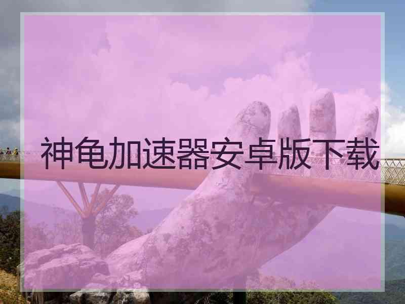 神龟加速器安卓版下载