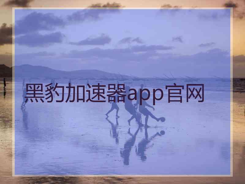 黑豹加速器app官网