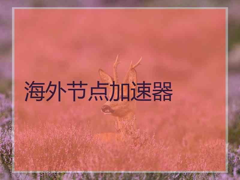 海外节点加速器