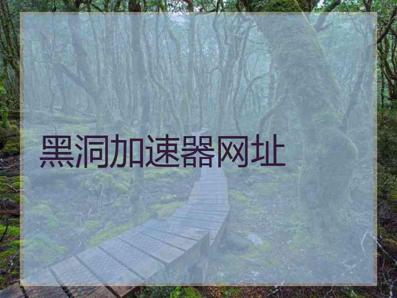 黑洞加速器网址