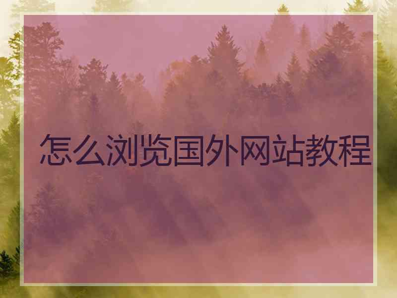 怎么浏览国外网站教程