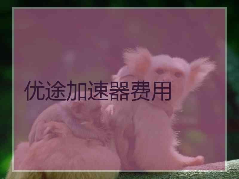 优途加速器费用
