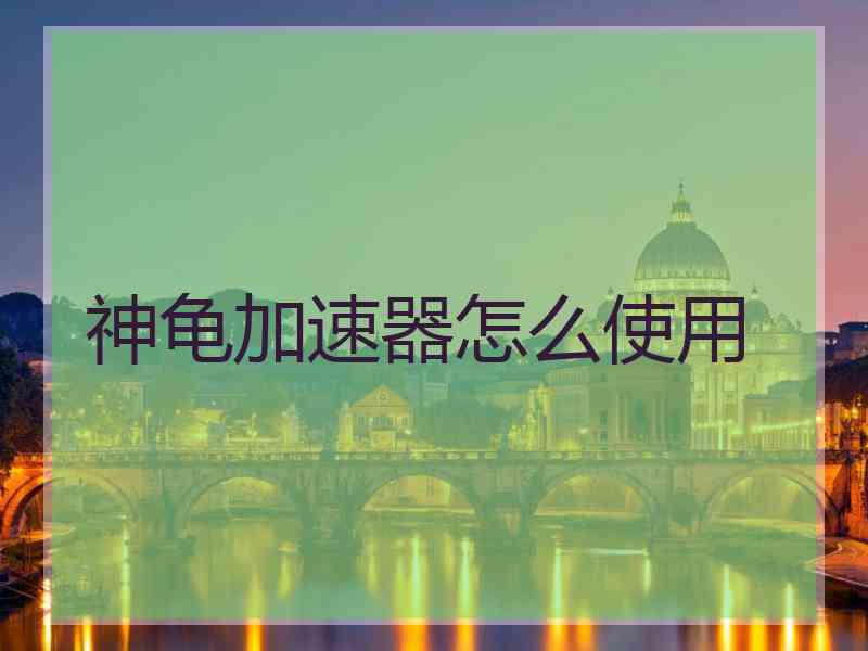 神龟加速器怎么使用