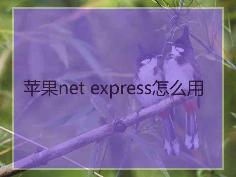苹果net express怎么用