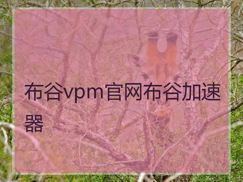 布谷vpm官网布谷加速器