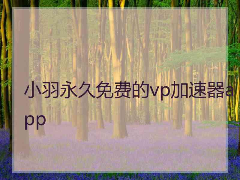 小羽永久免费的vp加速器app