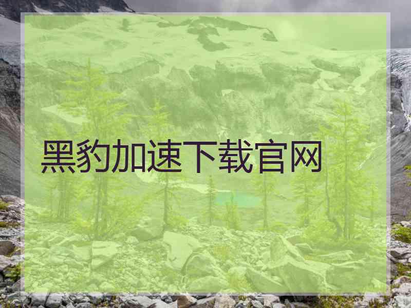 黑豹加速下载官网