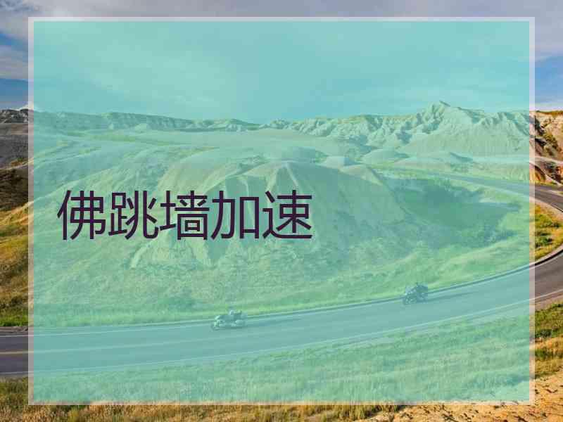 佛跳墙加速