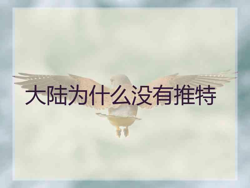 大陆为什么没有推特