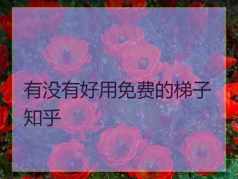 有没有好用免费的梯子 知乎