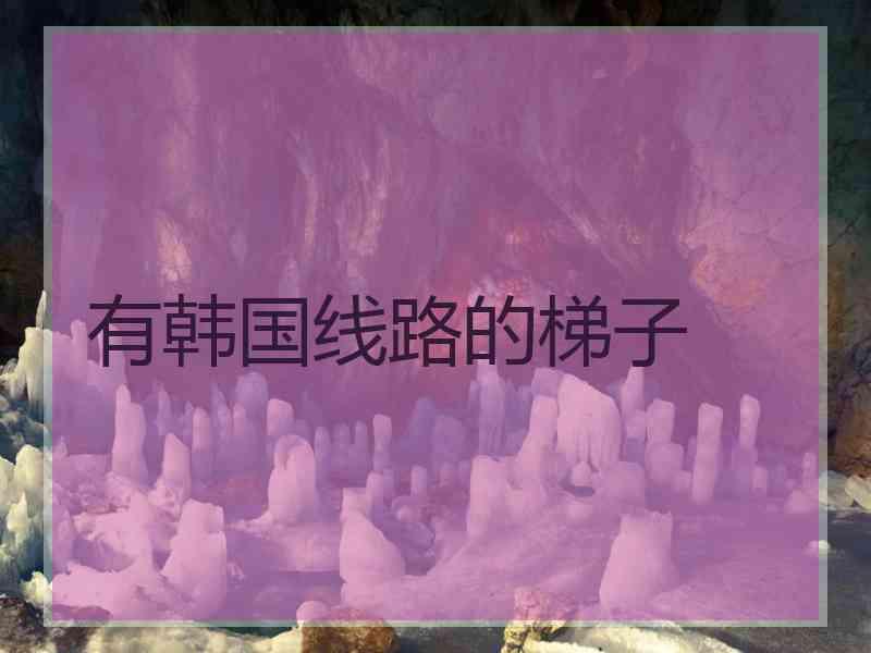 有韩国线路的梯子