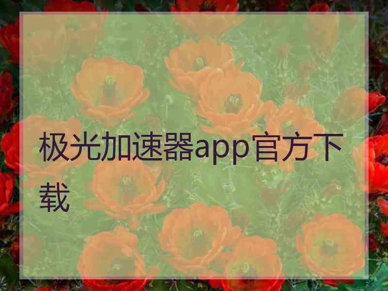 极光加速器app官方下载